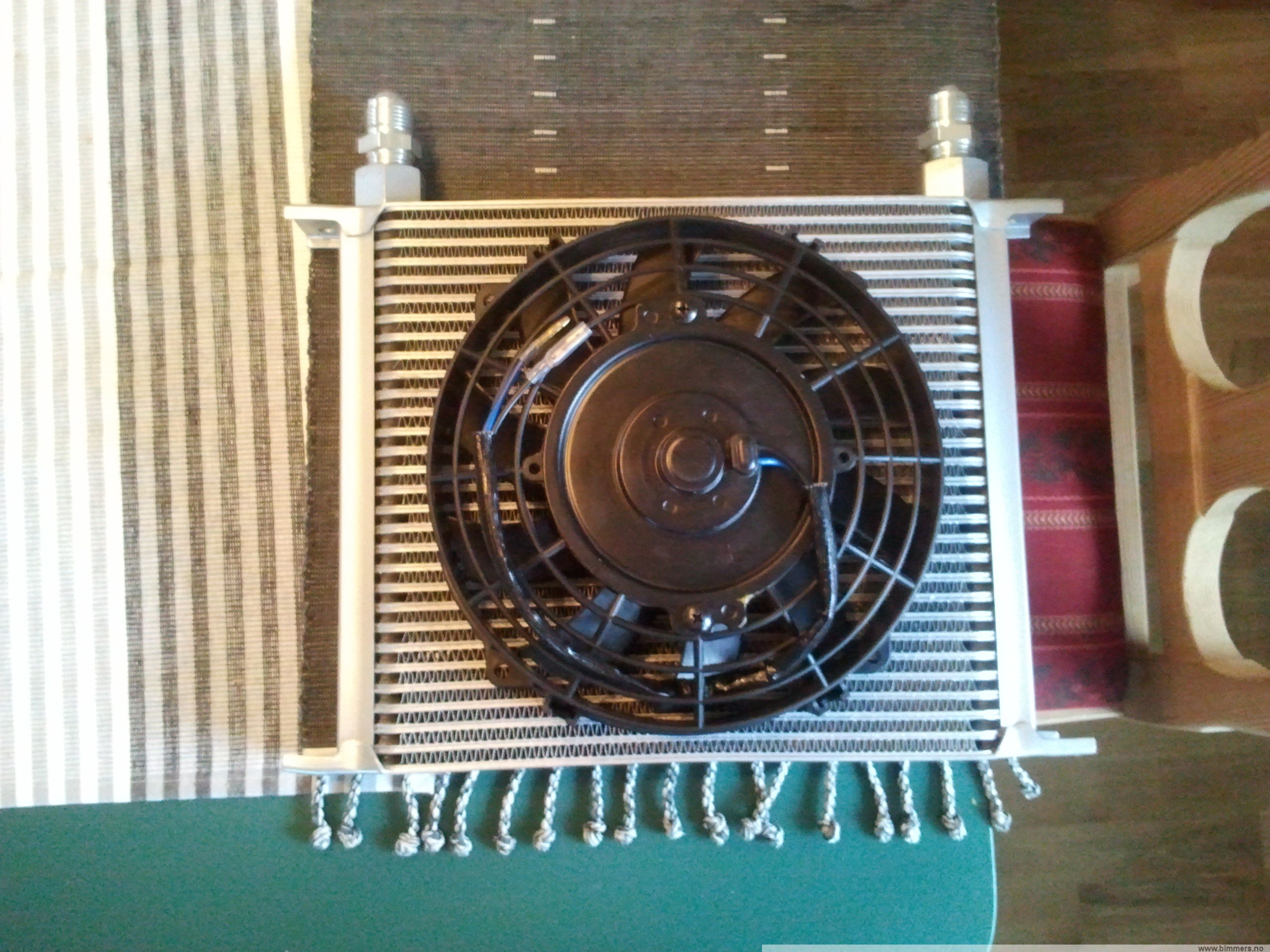 jqkq5k6plcw2doif6vgr.jpg