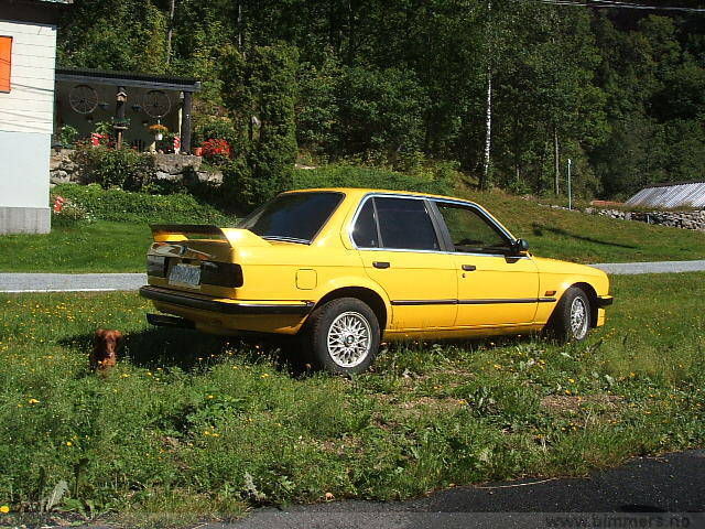 jtv27mbipnncdfu3wfeu.jpg