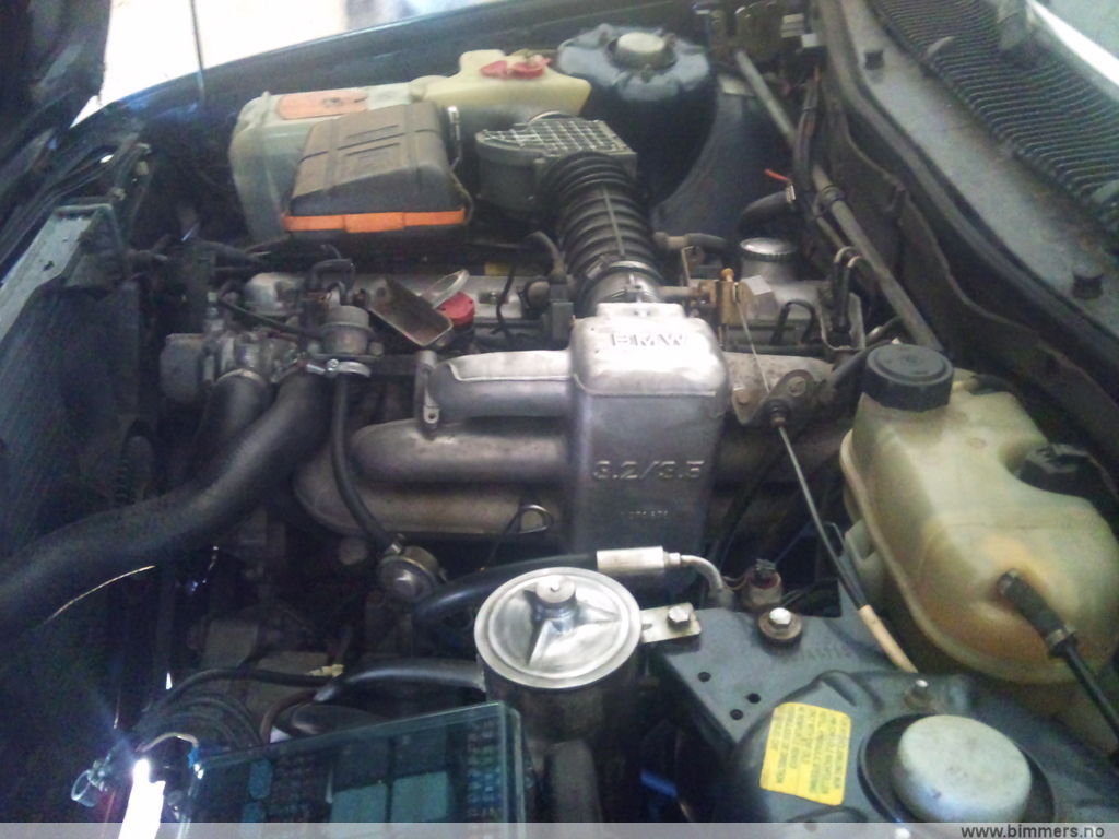 jx9ozyxz5nnptmdel6bq.jpg