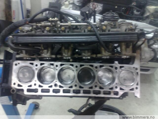 k6ap53vsmjl2zx8pr80r.jpg