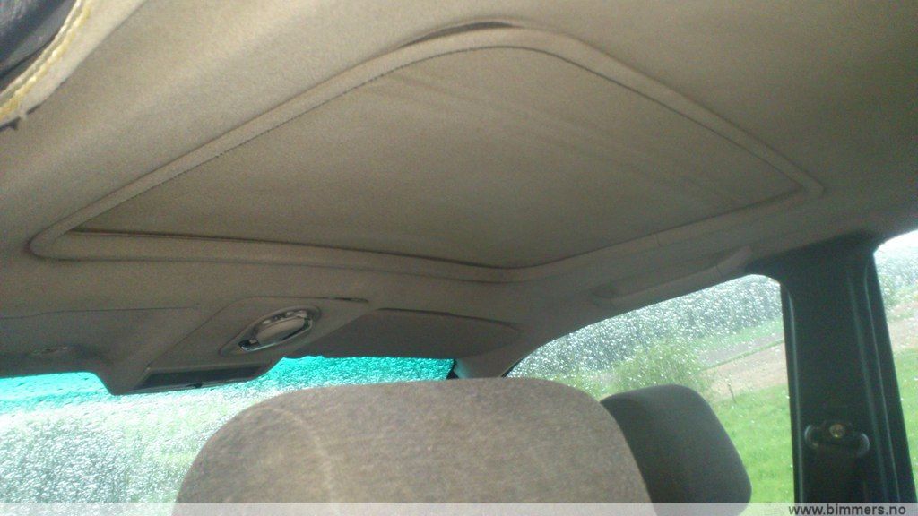 kisdtend2xbgah6i95wf.jpg
