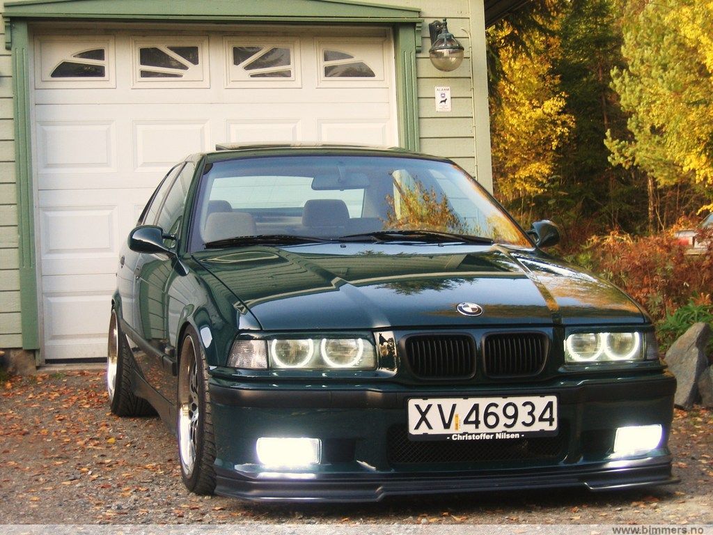 kvrhqr49ptvz6p8anvbz.jpg