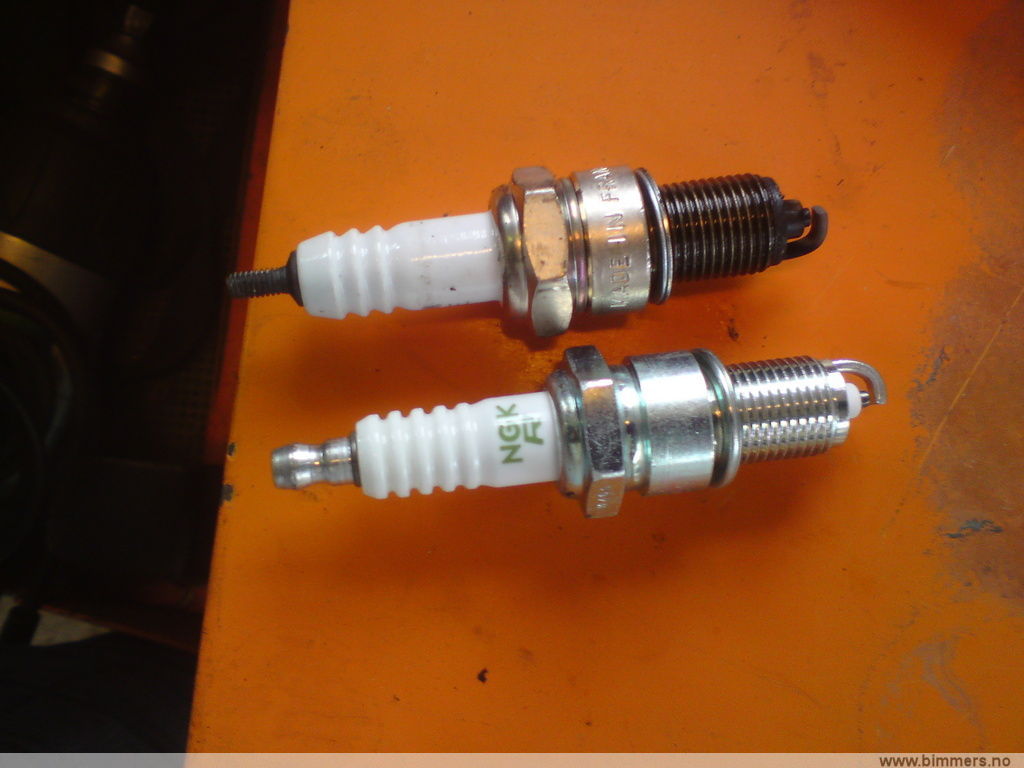 l08oz2yuhtcwnktpprqu.jpg