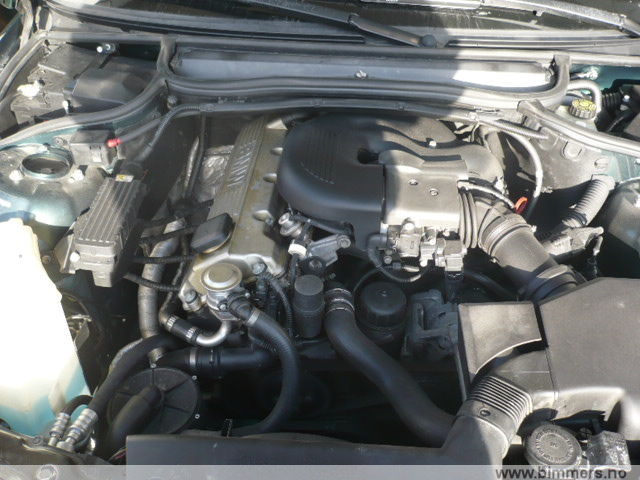 ldxg3qxvt7ueo1k6i729.jpg