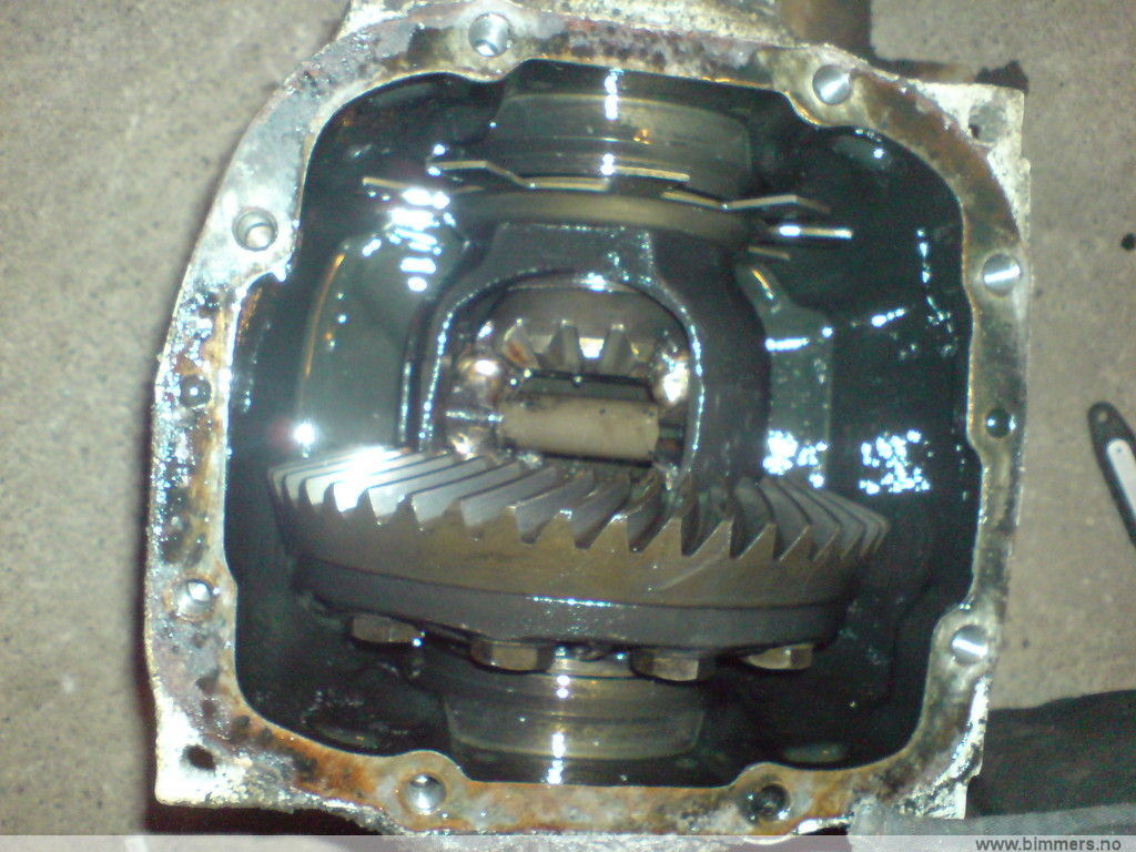 lk01vvd8y193seyjnl46.jpg