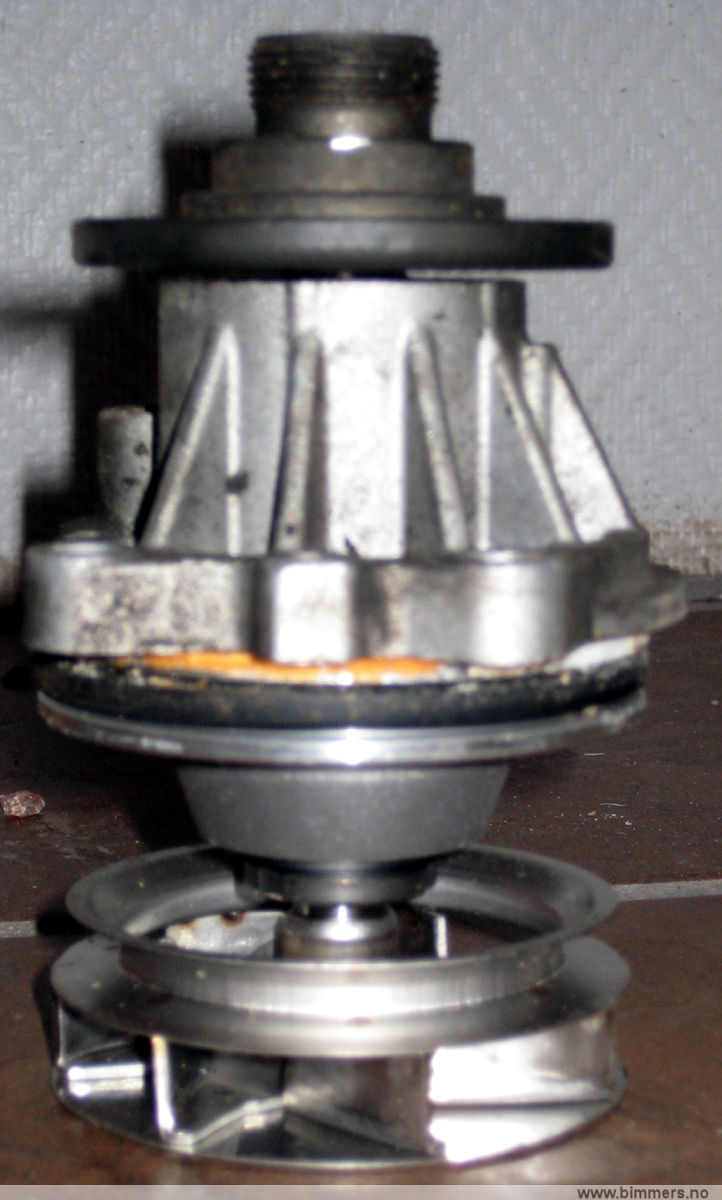 lmw73wki9817awn9axpc.jpg