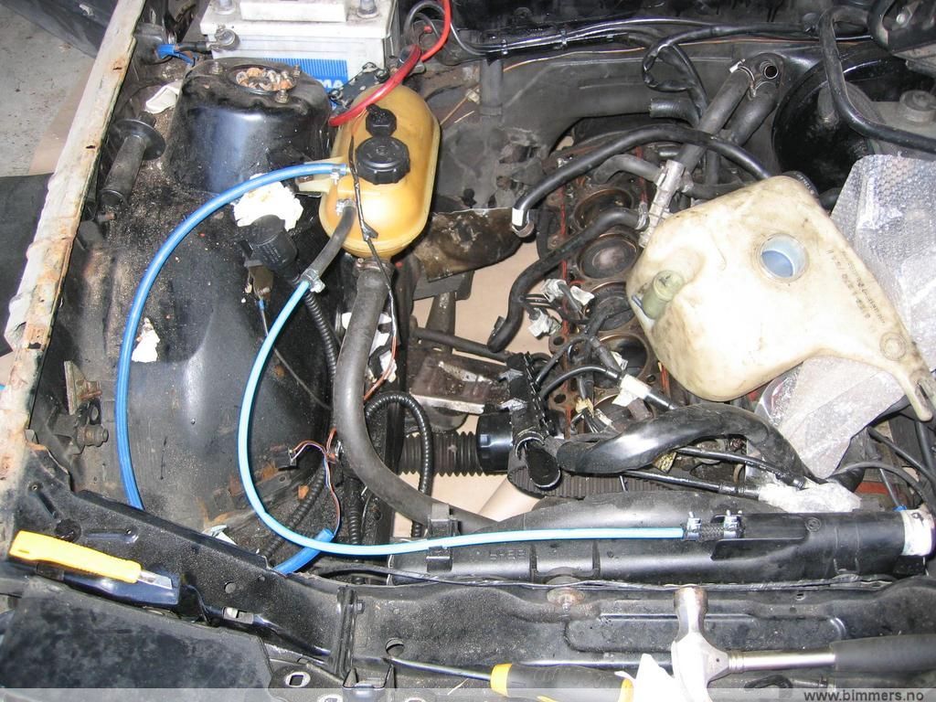 lwz15om58gz8vf8h5wgh.jpg