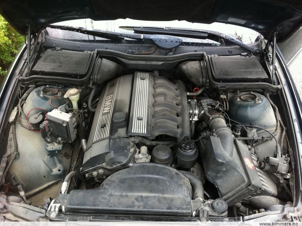 m40vtx95qkixa7xywuli.jpg