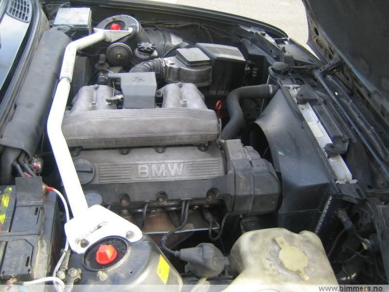 m9xxsb878iqjf9cihoqq.jpg
