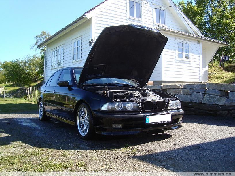 mdzd68f50pzbhj6pef2j.jpg