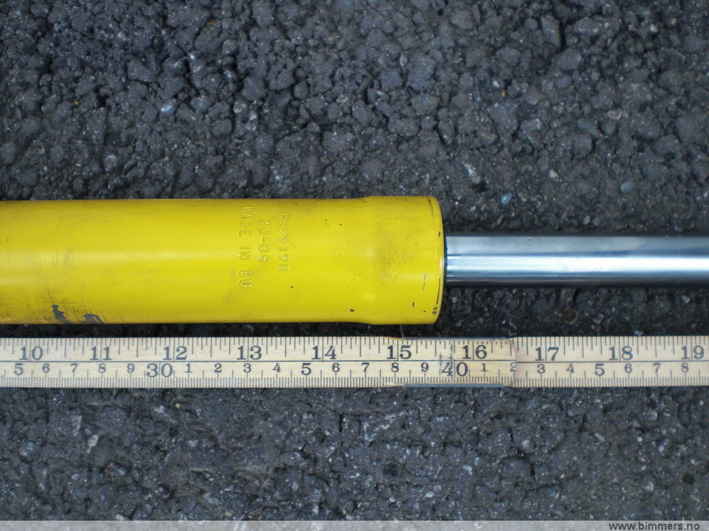 n54st498xizv99mfgsiz.jpg