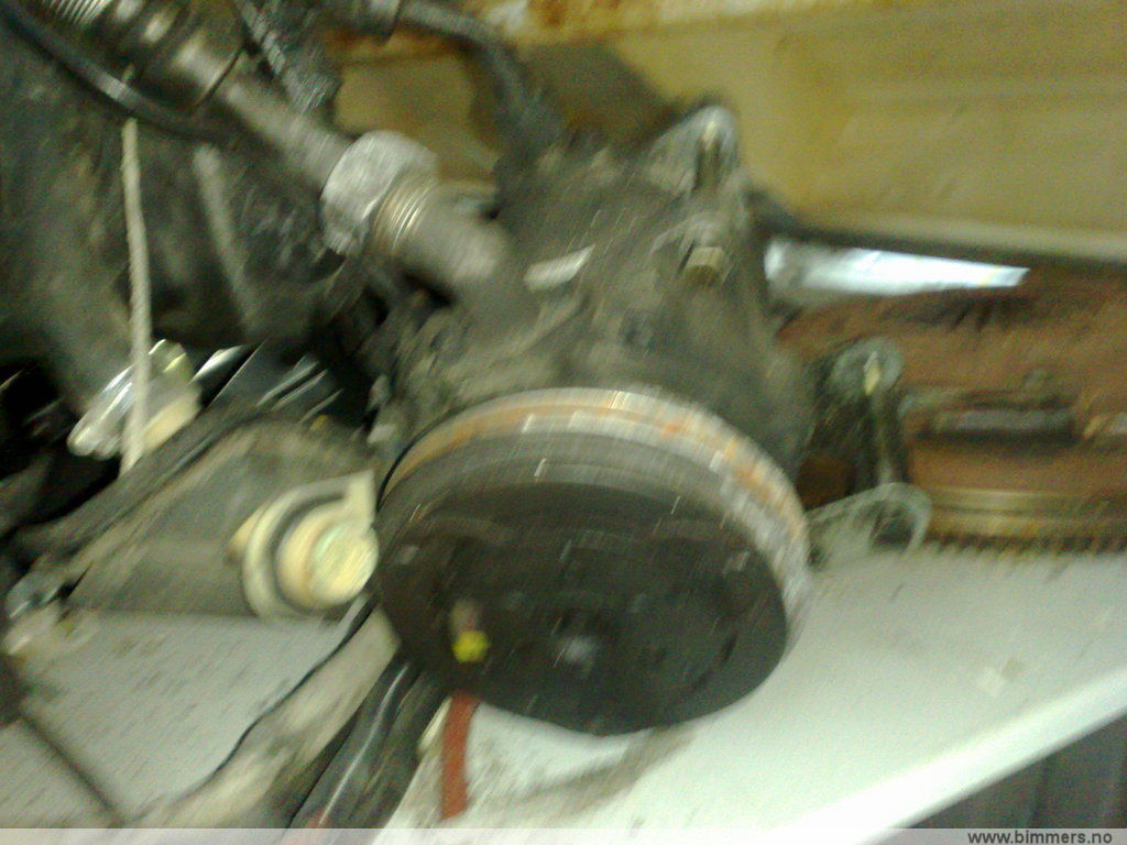 n95mh2hsv5bujfzaarku.jpg