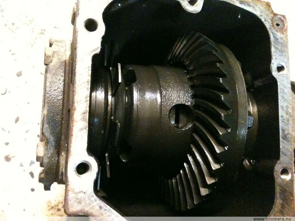 nd912xqr2u1k7mjuwxwq.jpg