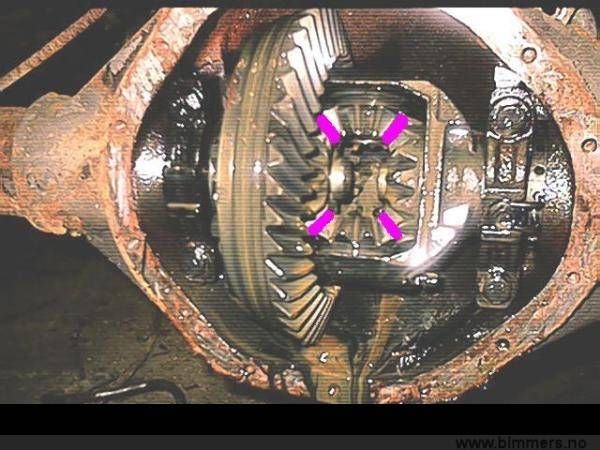 o8piq13kv8c28p6z7x99.jpg