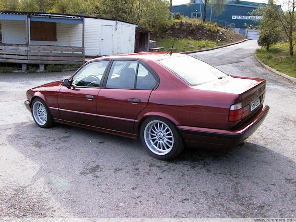 of7fwjb96w9fn1sqdr72.jpg