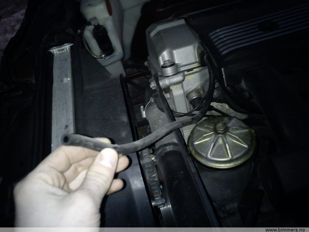 orxds3i4zbtugqyl58d5.jpg