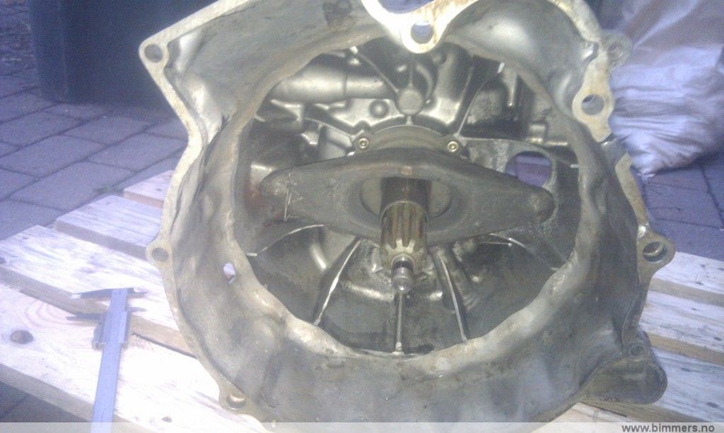 osvar72b88cgl8s2miyt.jpg