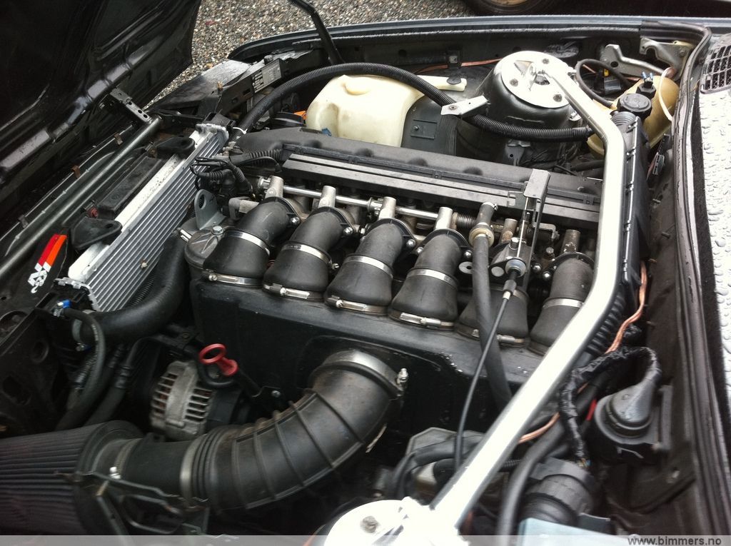 oyfp2c7t19sn08k5elzm.jpg