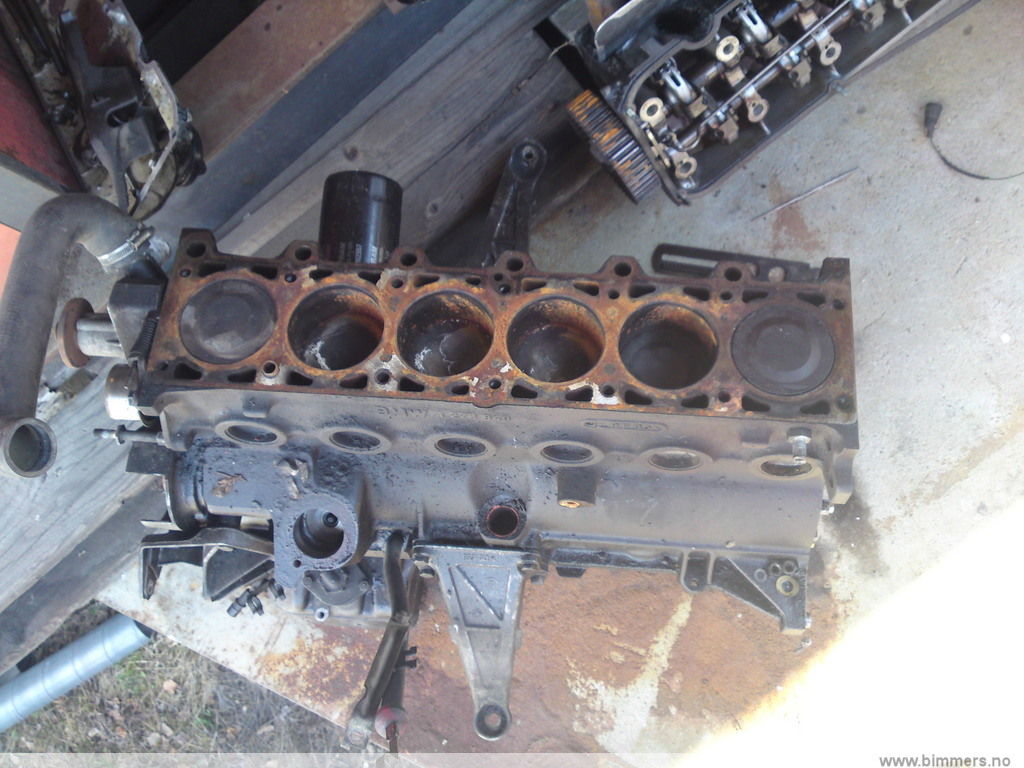 p6kfa4p7ruoi6em497g2.jpg