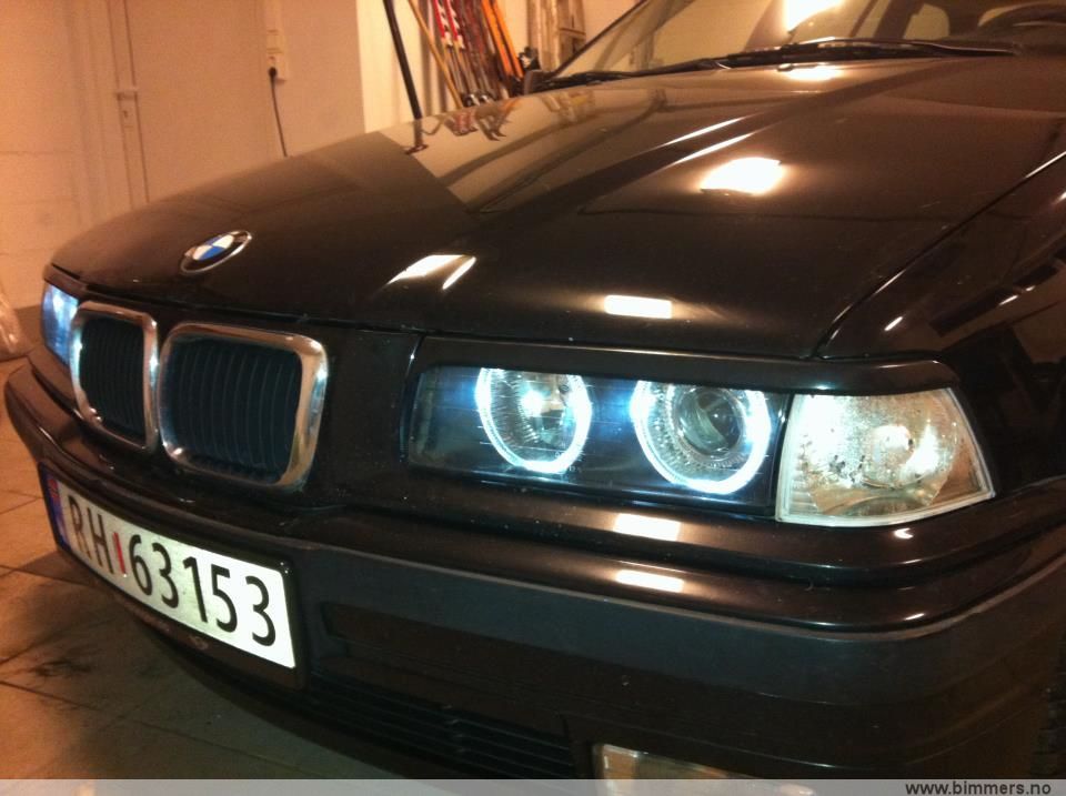 ply1ekf21zm5mj1s59sw.jpg