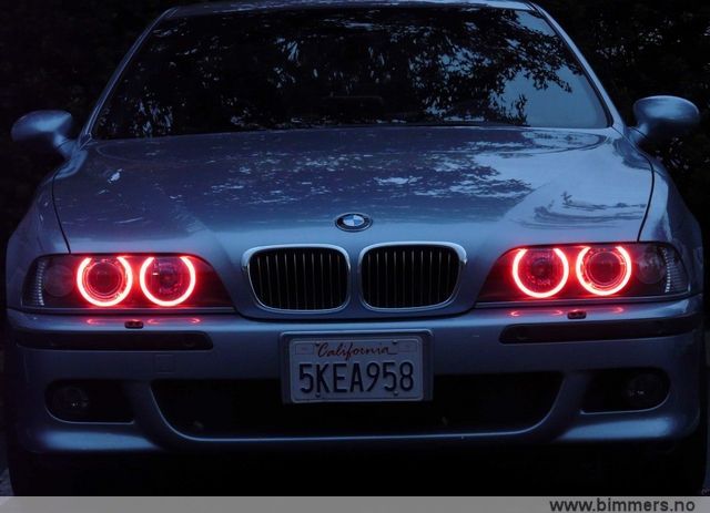 pw5qqgss5v58oz27m6j0.jpg