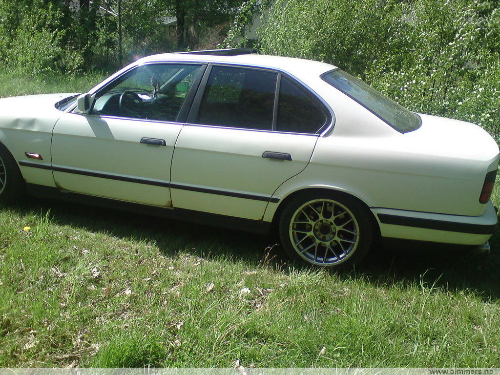 q54cbe5wdvs4i3kg9p9d.jpg