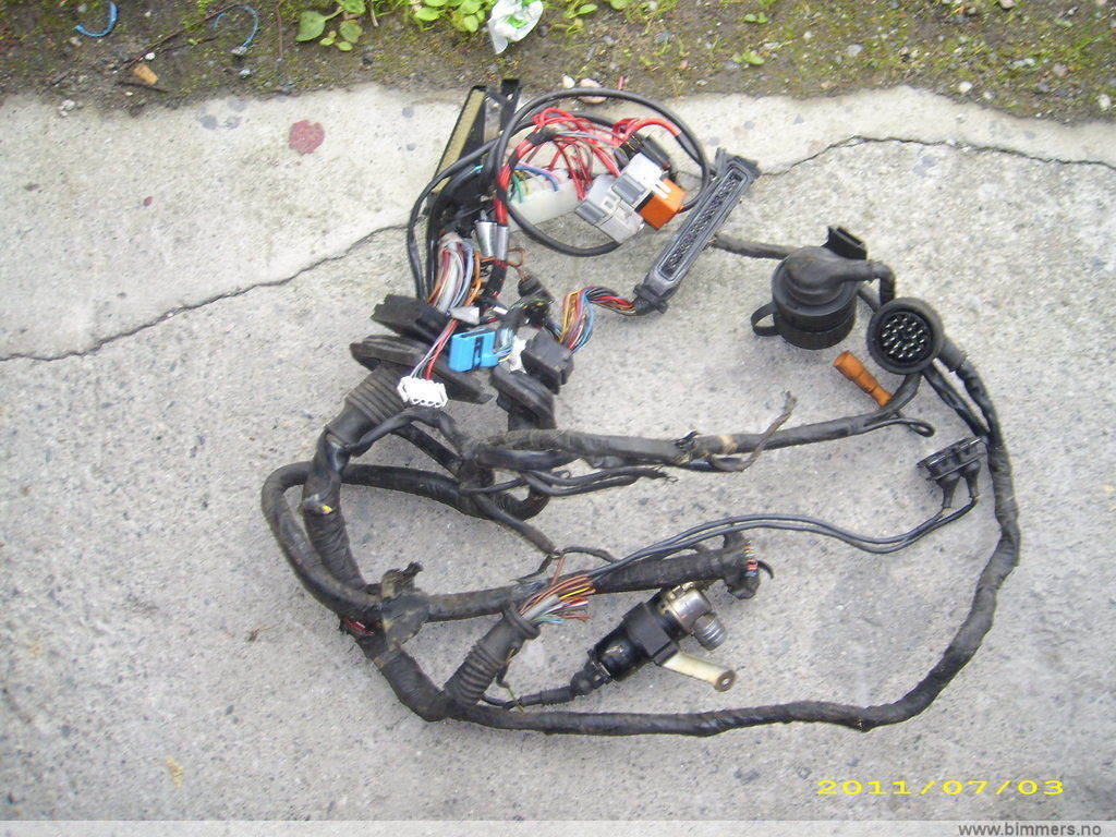qfv71unbt077rft7g8cs.jpg