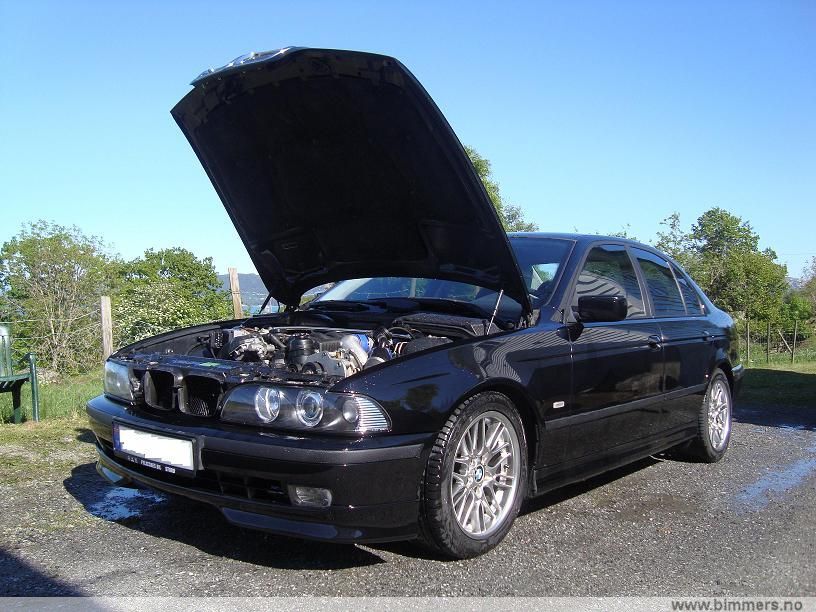 qk6lwtz792w139d2j0xp.jpg