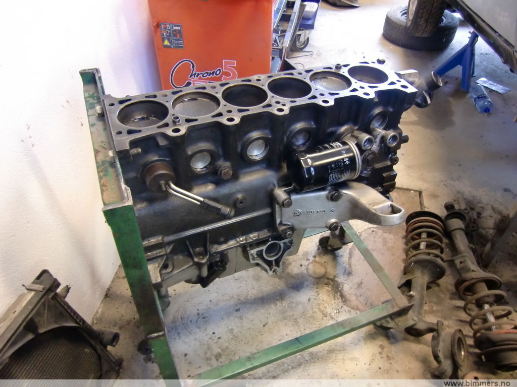 qsbzkmih2bhabahxr8mm.jpg