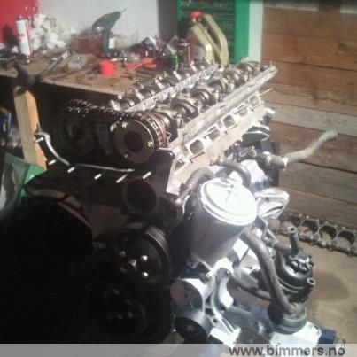 qtk086yaxov3kx5gv6yj.jpg