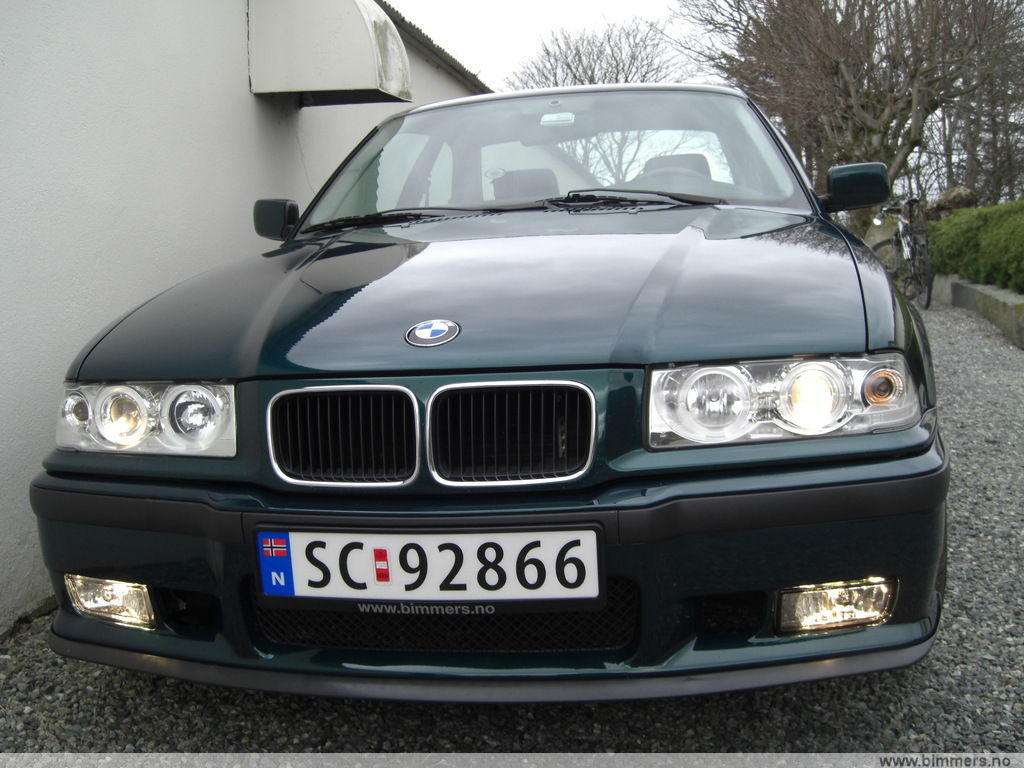 qv8wezyq1y2lr0l32cr6.jpg