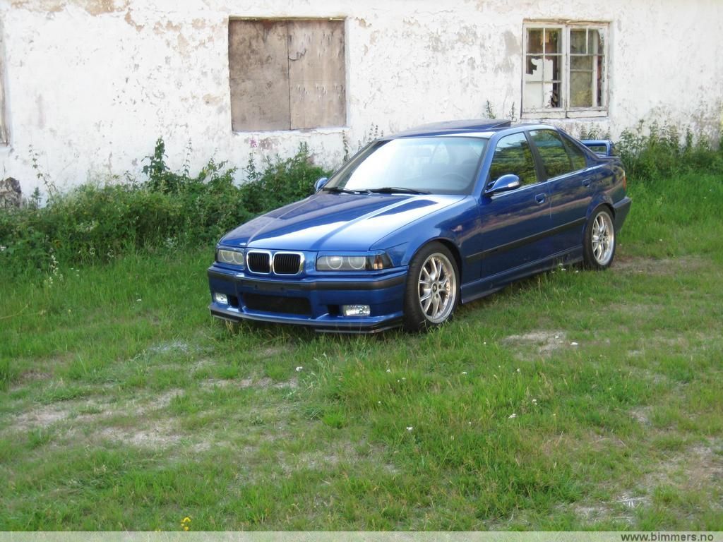 qvpnfycttmwrm69dl8ib.jpg