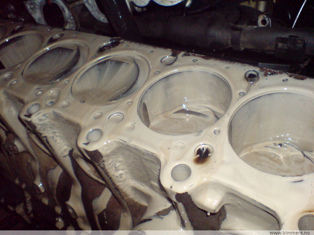 qxjfy3896vs72cc7axg5.jpg