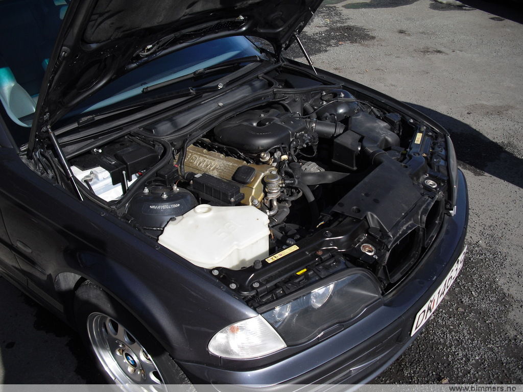 r7y800pe56rdk93k9jzh.jpg