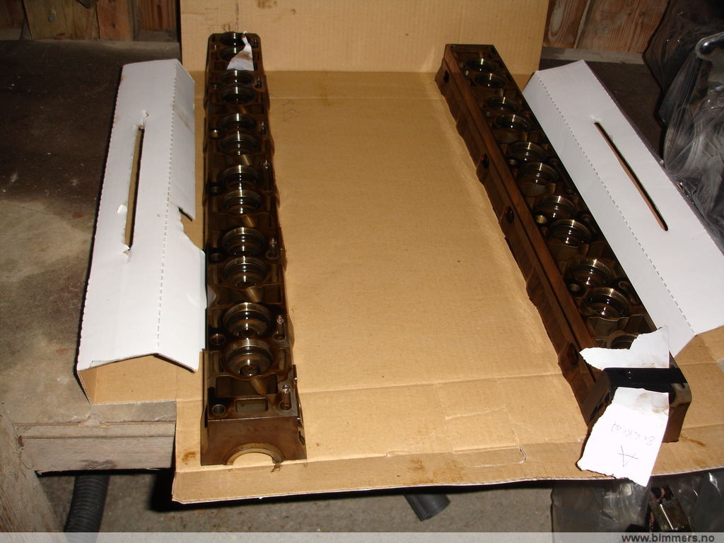 rf3mv7z52tw17phrz9rm.jpg