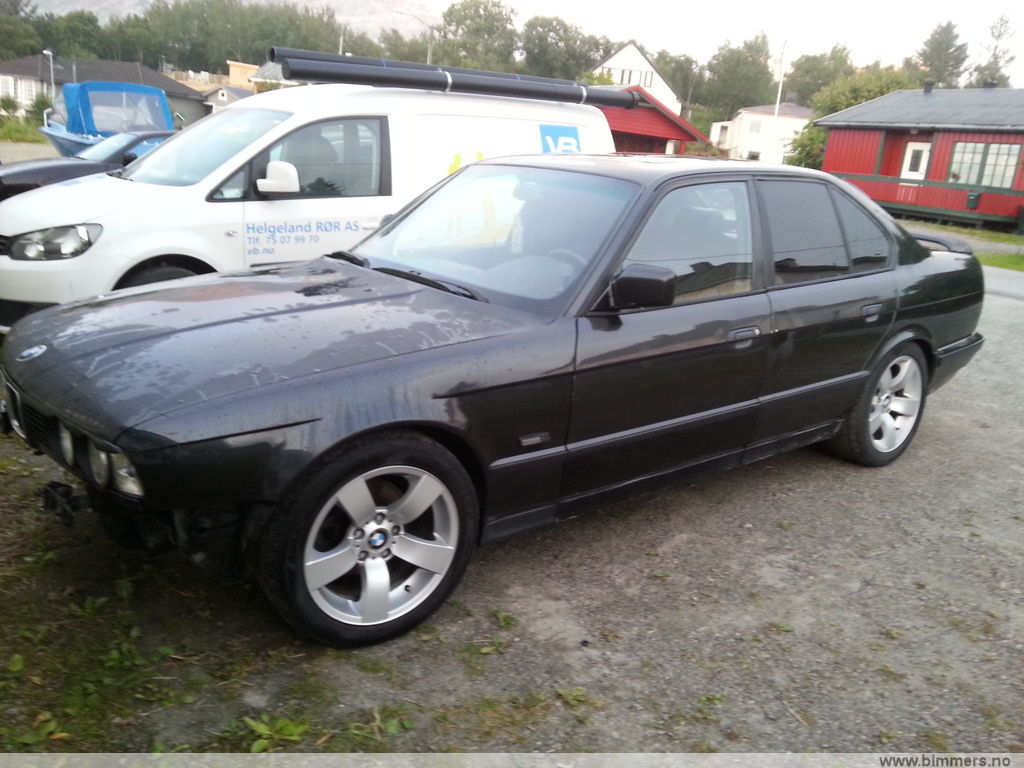 riegidrzd15th12q06wb.jpg