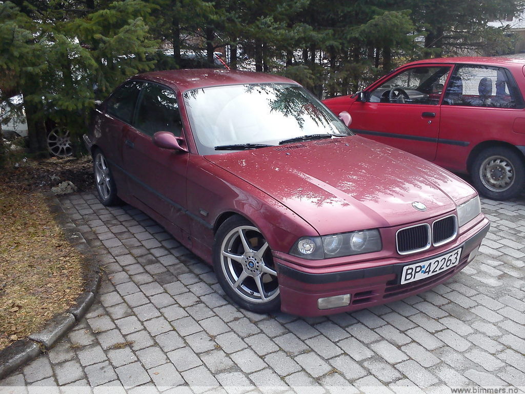 rok1yma05m3oi232np5s.jpg