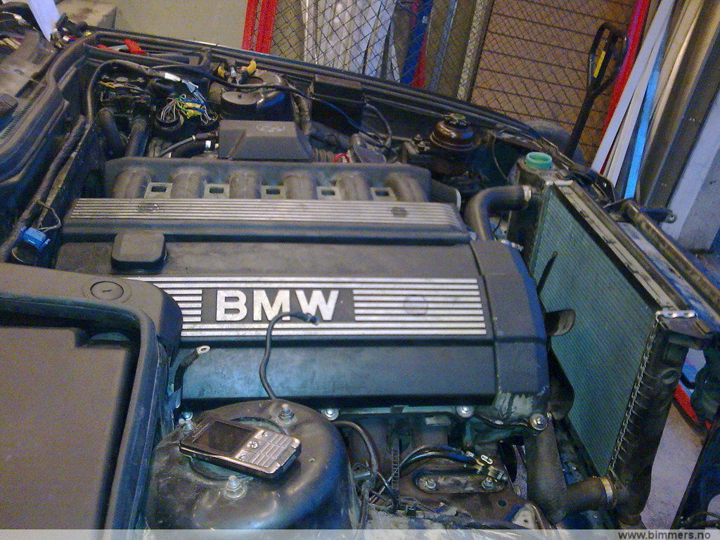 rvxsjeih590v27wb9cww.jpg