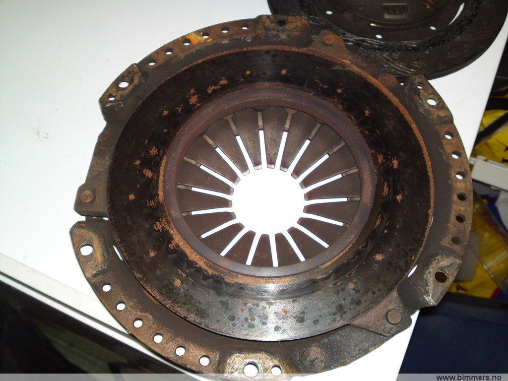 rx1v8umiizh03lslquxg.jpg