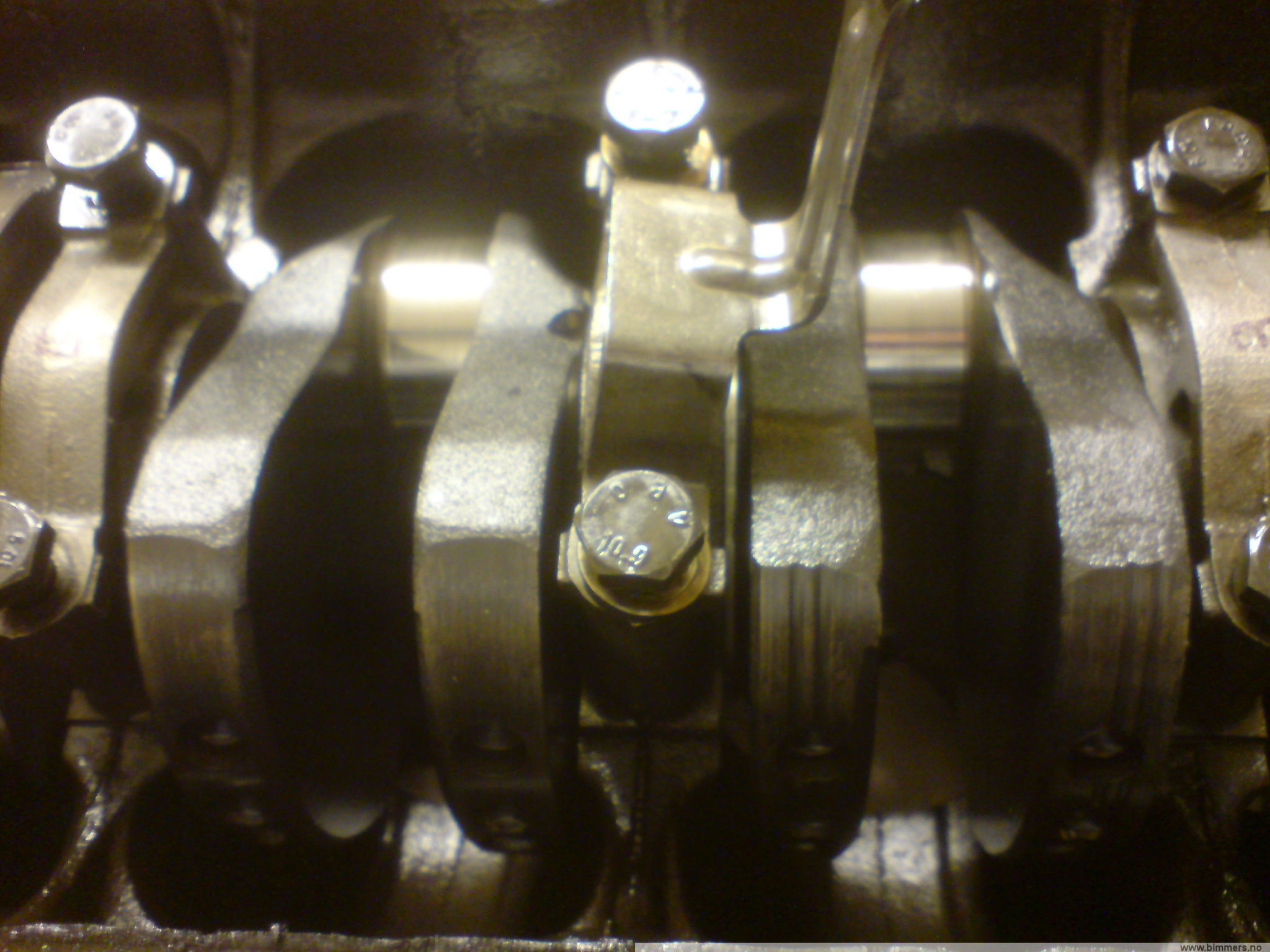 ryhgy596mhhy03a4ples.jpg