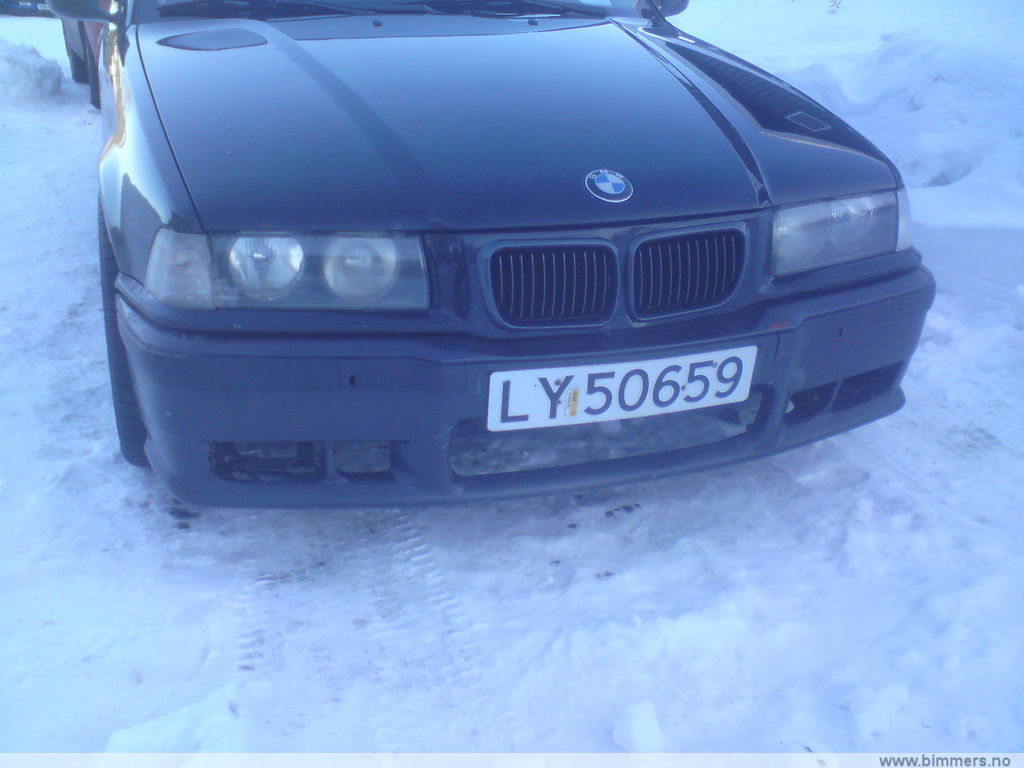 s16djgippmijj3u56zvk.jpg