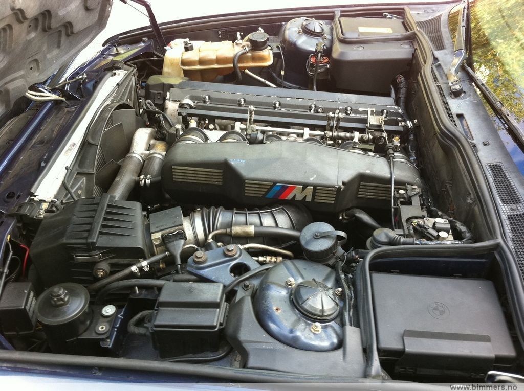 s36ouw1ux85j72nhwm9n.jpg