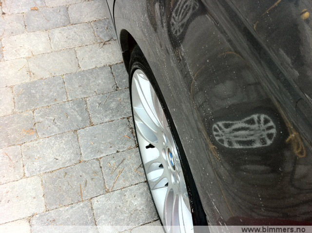 s80l55g976slqmw7gy34.jpg