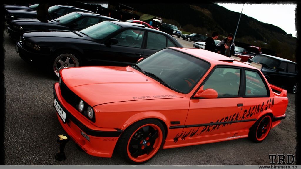 sek3vw6sfnqzpb8tjd2i.jpg