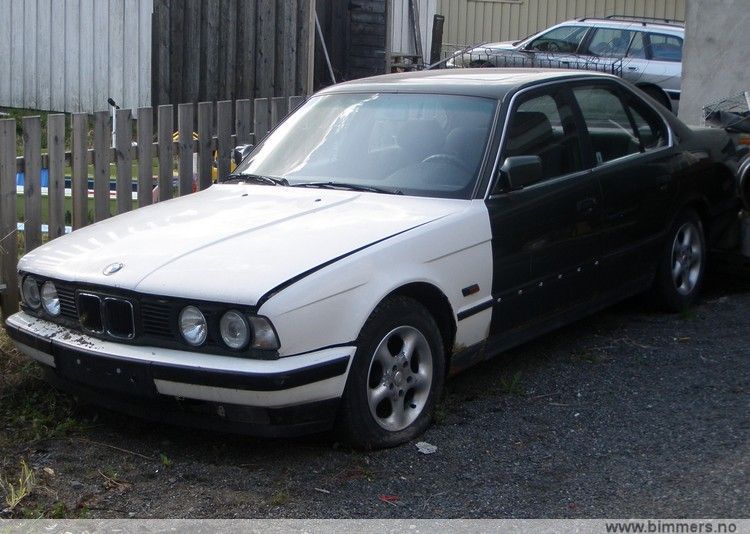 sv8nenhdjl48xm97xmnj.jpg
