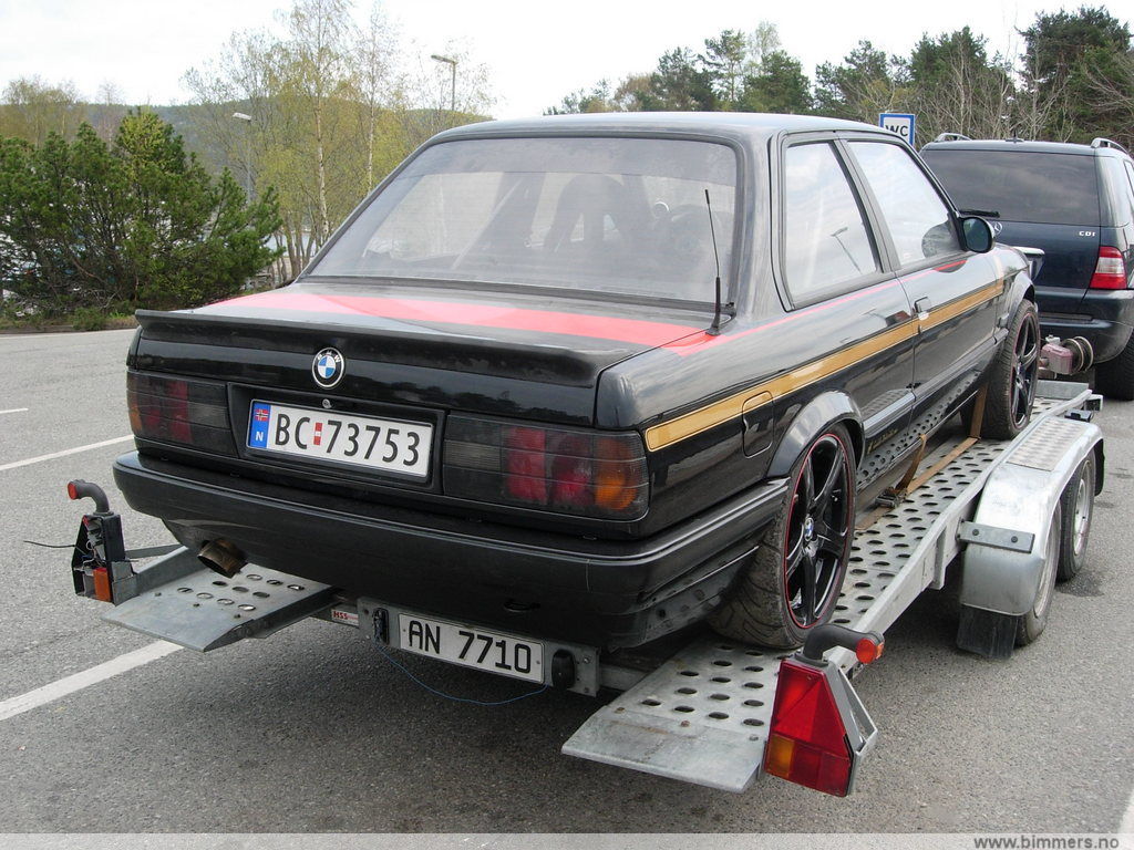 t37mbk08crx3nr3nngal.jpg