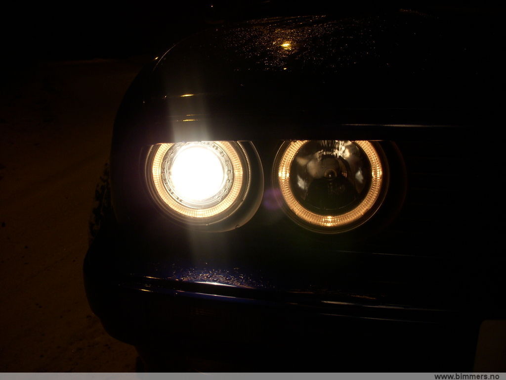 t3fjyc8d9boor58g10jz.jpg