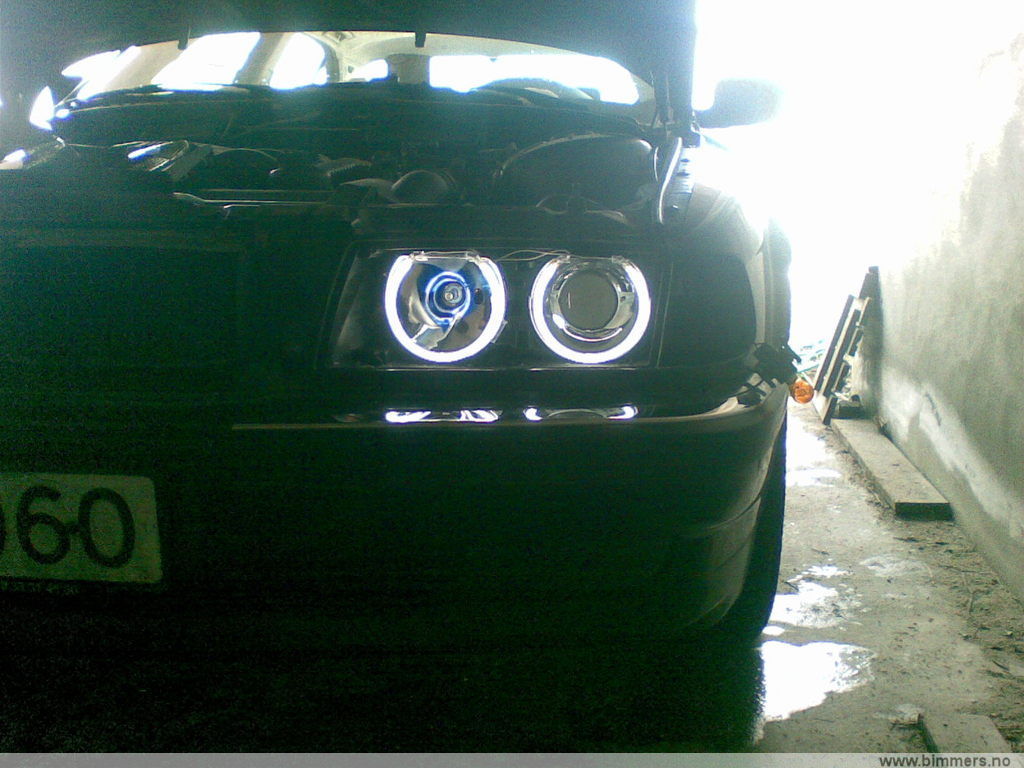 t71s5issut81te0xmln5.jpg