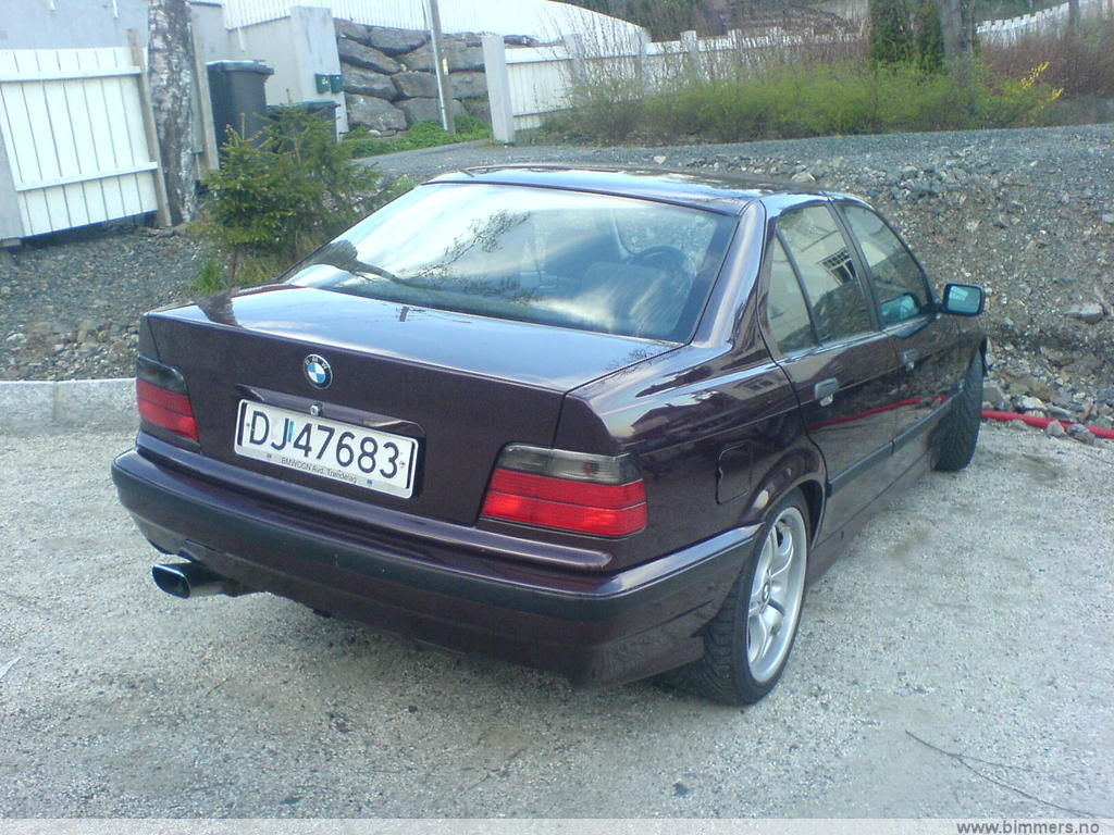 t82eaox2g7pt12bwof74.jpg