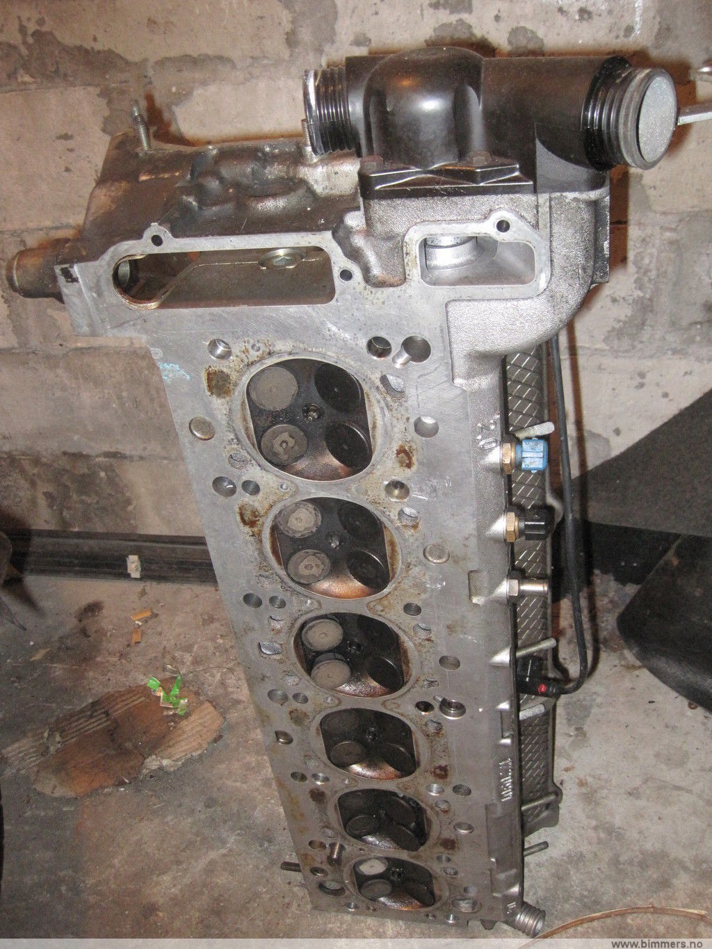 t957ur1h26aep55a4ooh.jpg